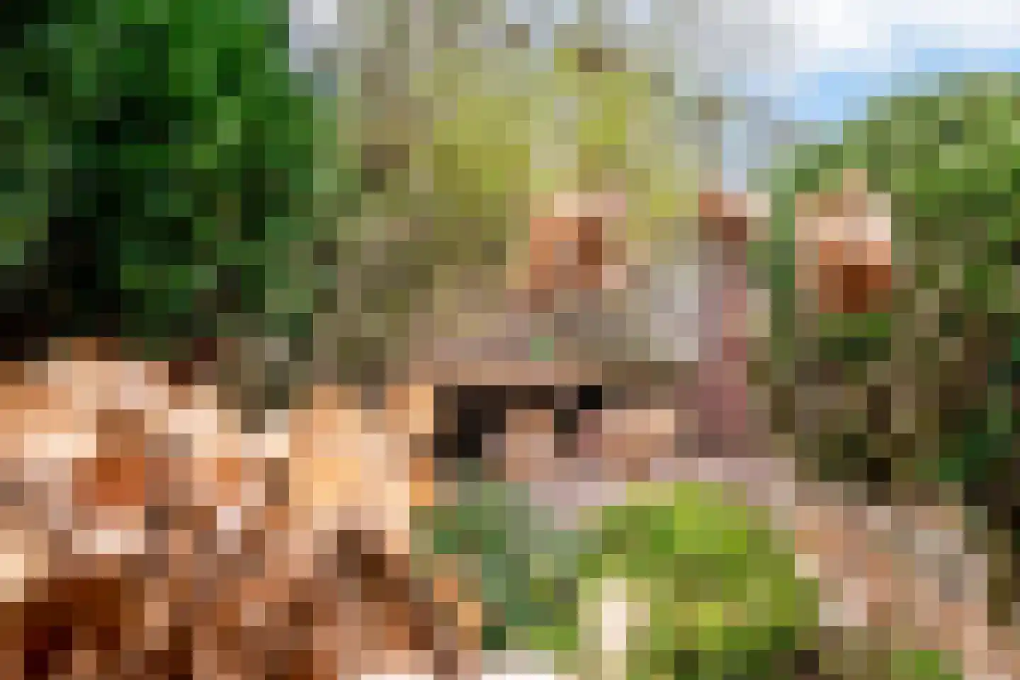 Bergse Heihoek 6 Berghem thumbnail 26