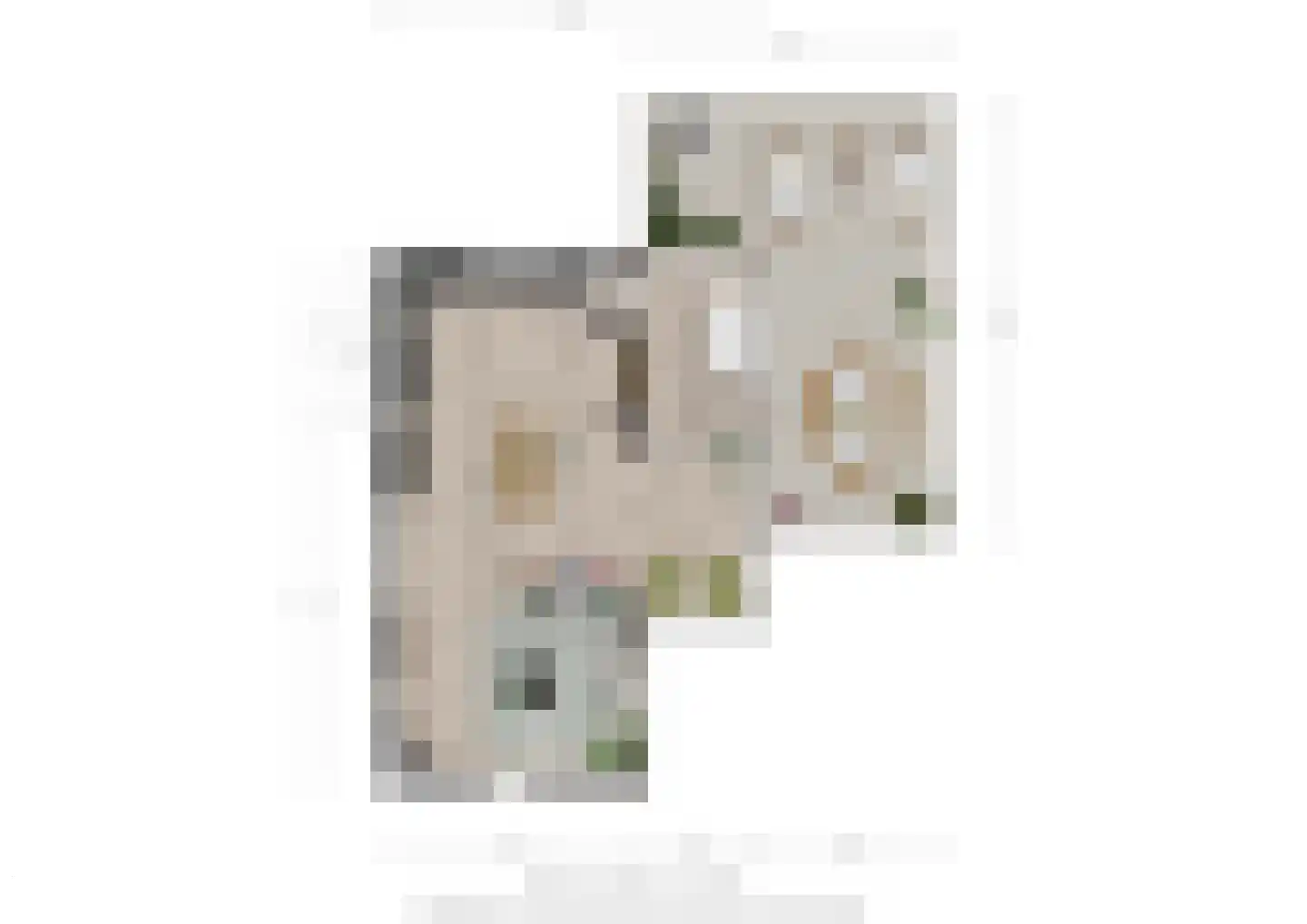Bergse Heihoek 6 Berghem thumbnail 30