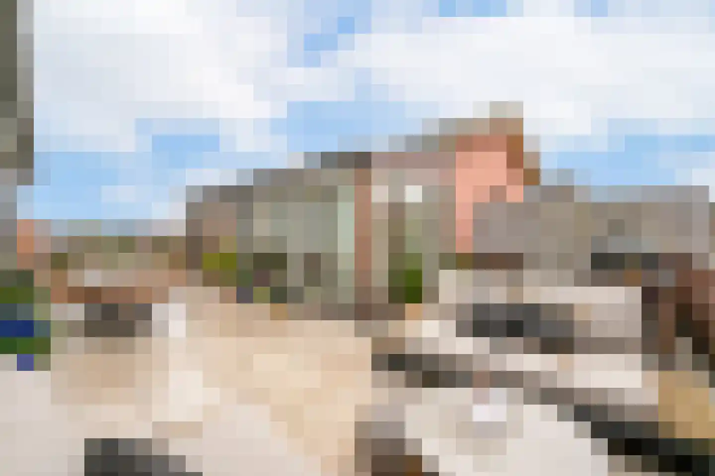 Bergse Heihoek 6 Berghem thumbnail 4