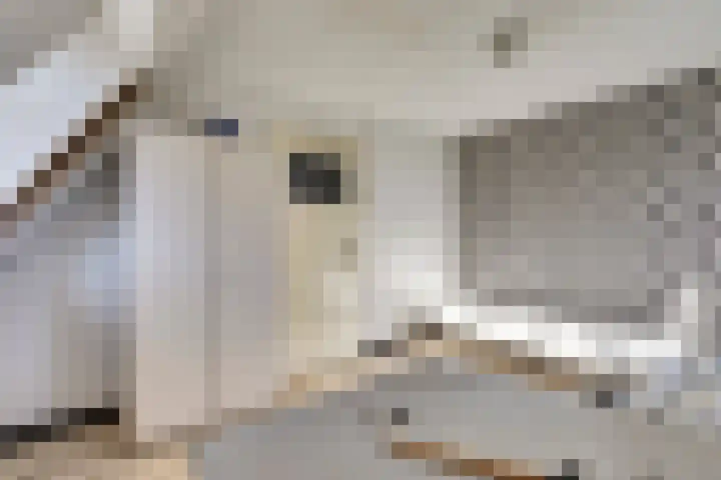 Bergse Linker Rottekade 1 Rotterdam thumbnail 20