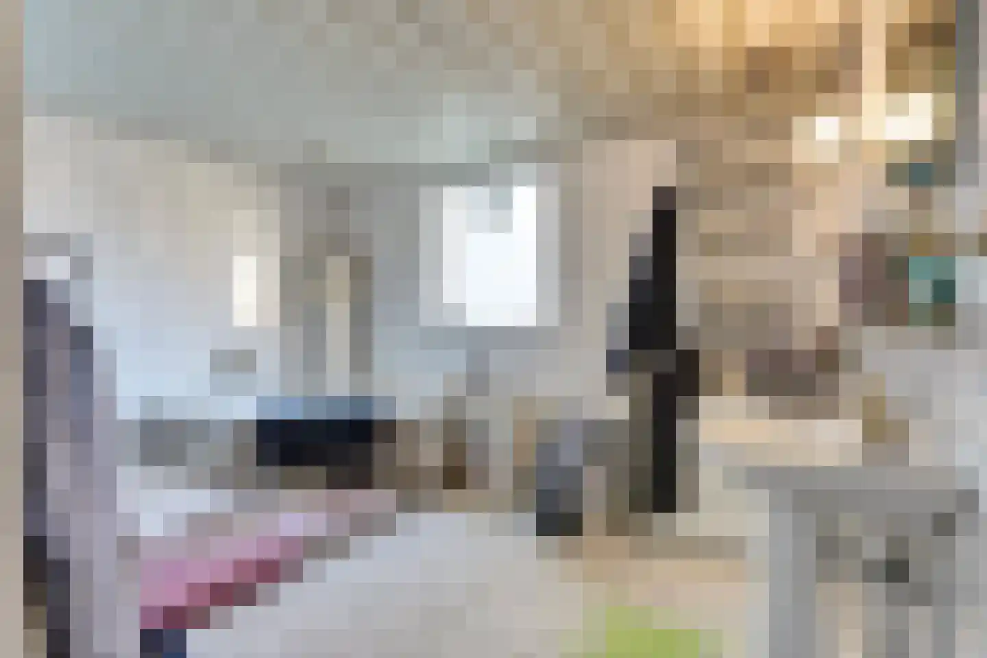 Bergse Linker Rottekade 1 Rotterdam thumbnail 33
