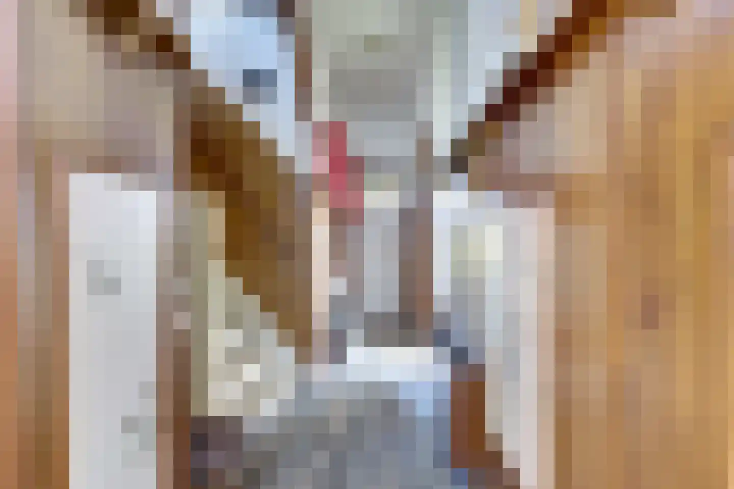 Bergse Linker Rottekade 1 Rotterdam thumbnail 4