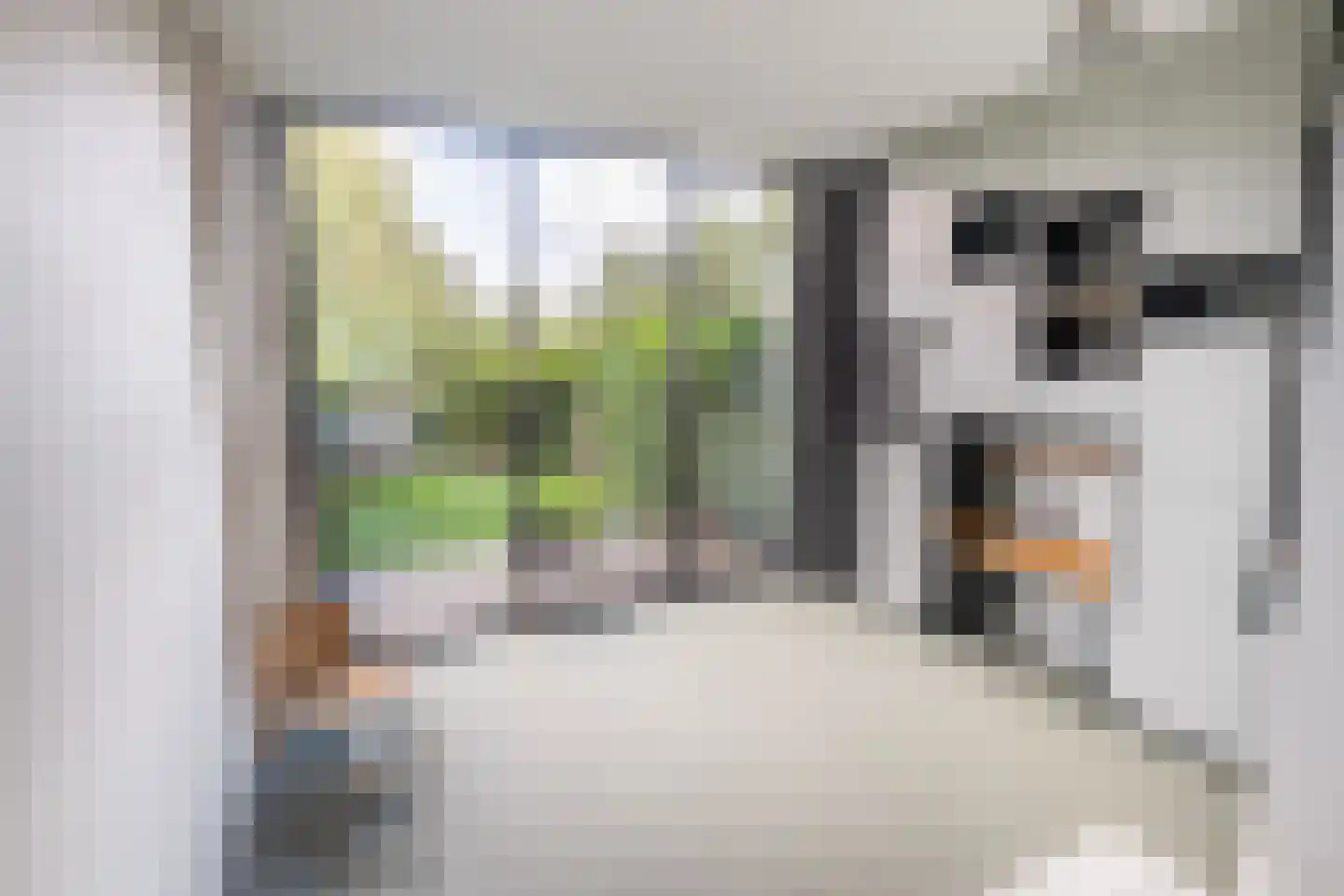 Bergse Linker Rottekade 148 Rotterdam thumbnail 18
