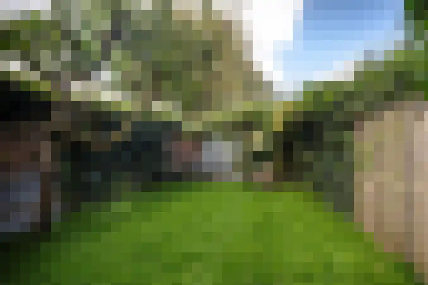 Bergse Linker Rottekade 148 Rotterdam thumbnail 24
