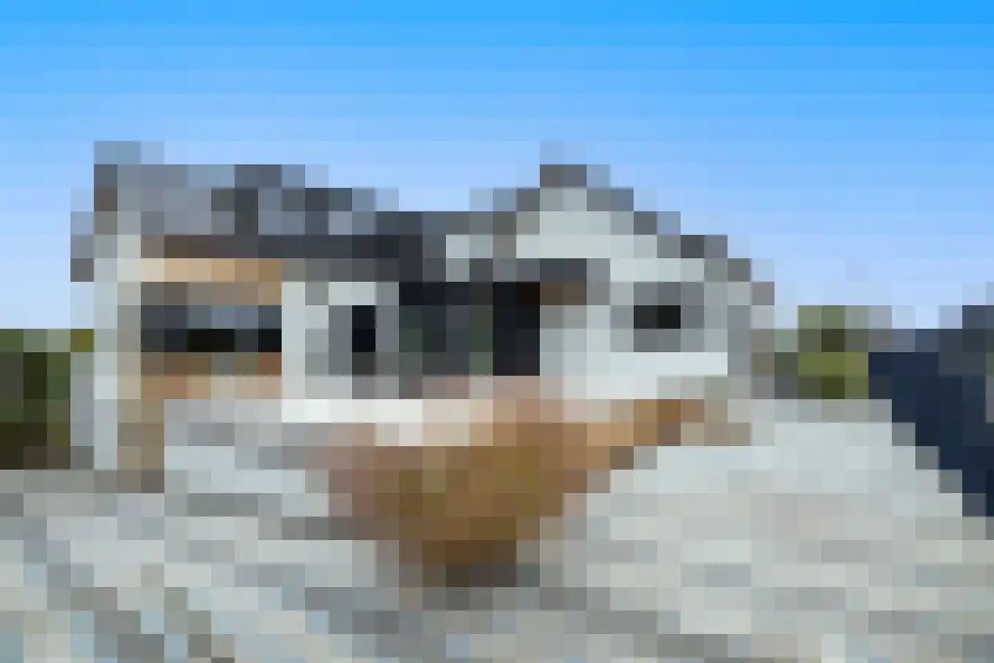 Bergse Linker Rottekade 200 Rotterdam thumbnail 4