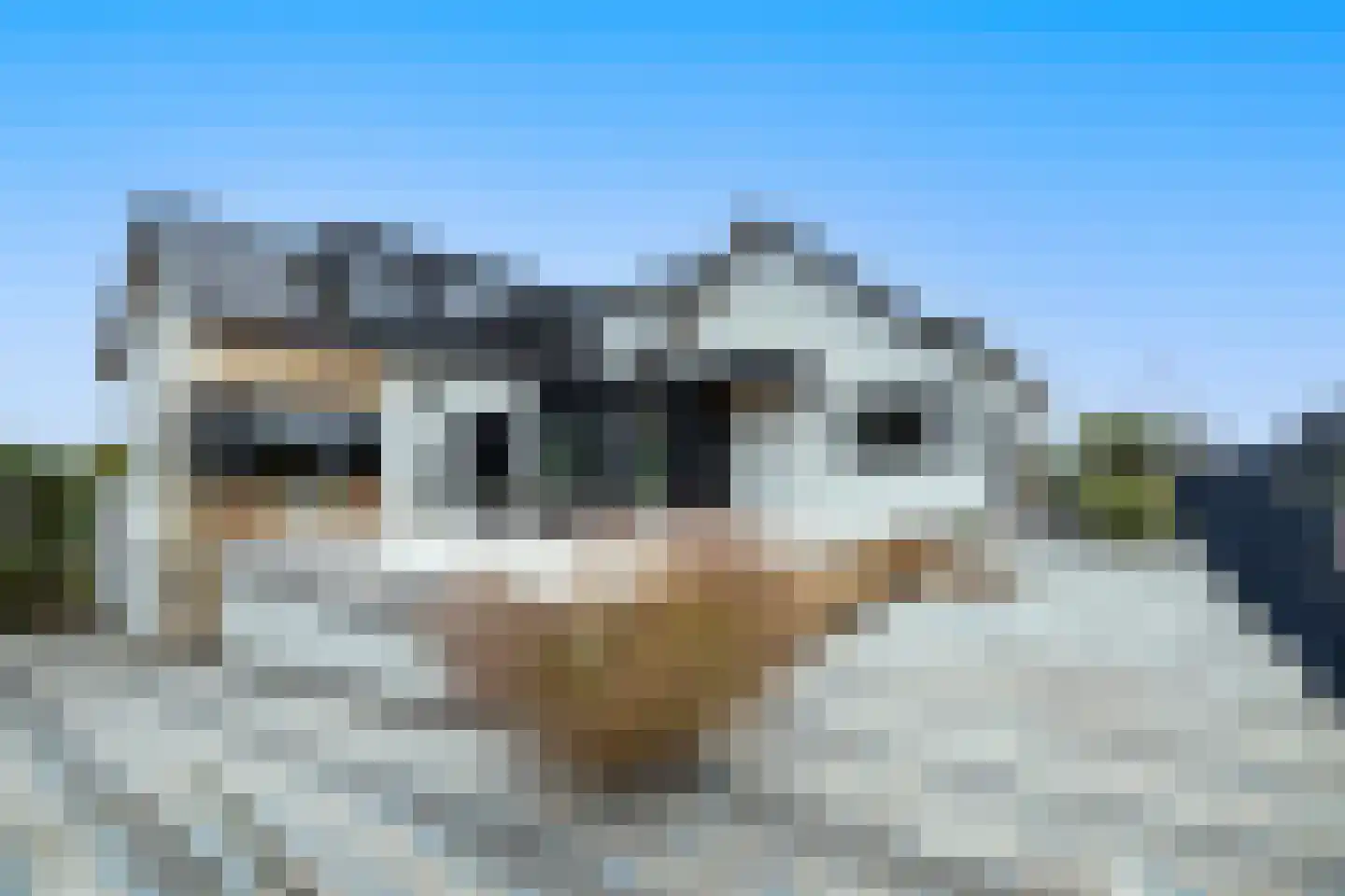 Bergse Linker Rottekade 200 Rotterdam thumbnail 6