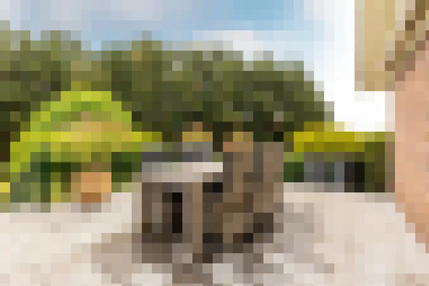 Bergse Linker Rottekade 222 Rotterdam thumbnail 18