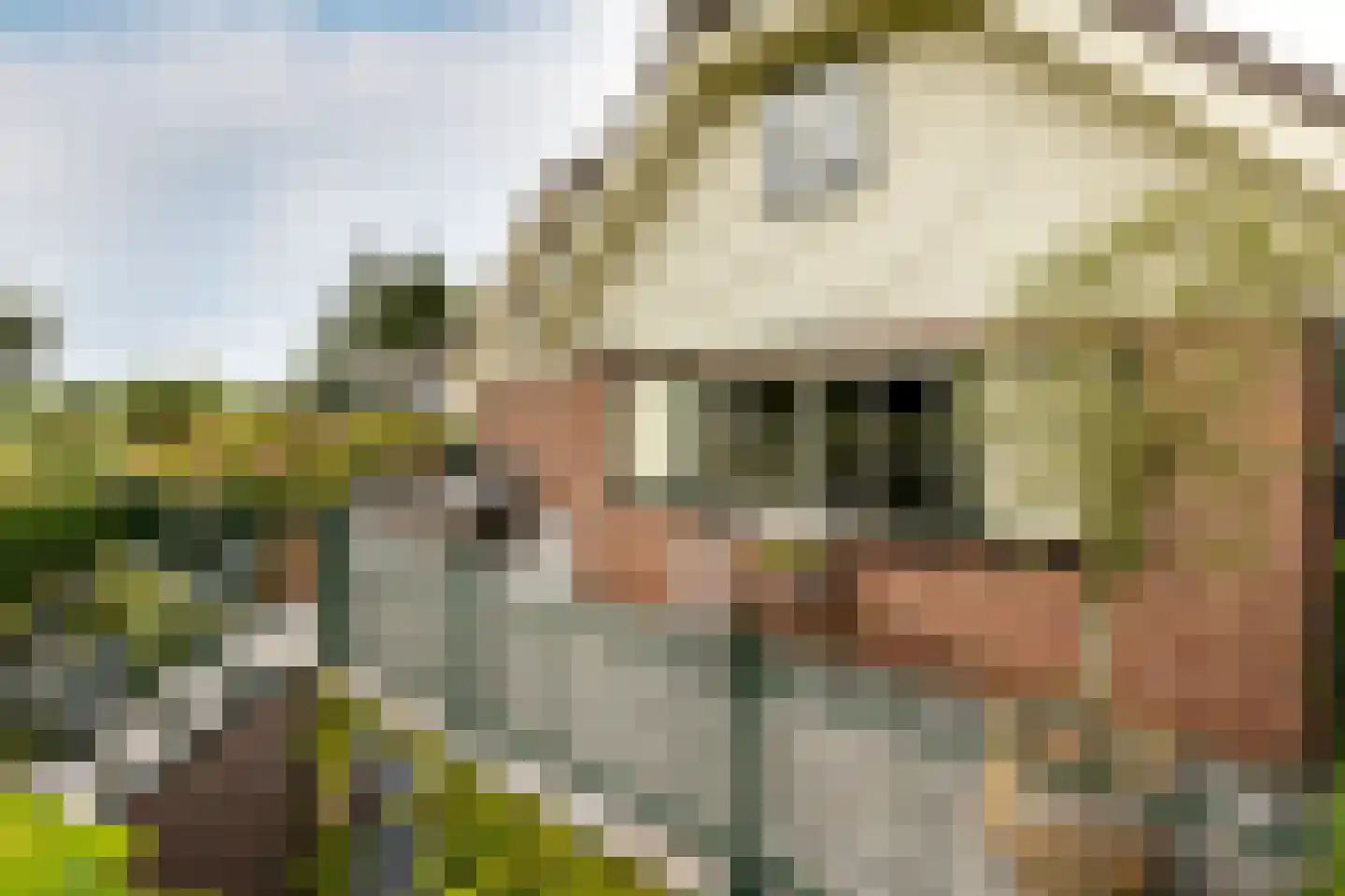 Bergse Linker Rottekade 222 Rotterdam thumbnail 19