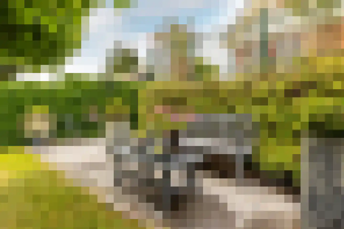 Bergse Linker Rottekade 222 Rotterdam thumbnail 24