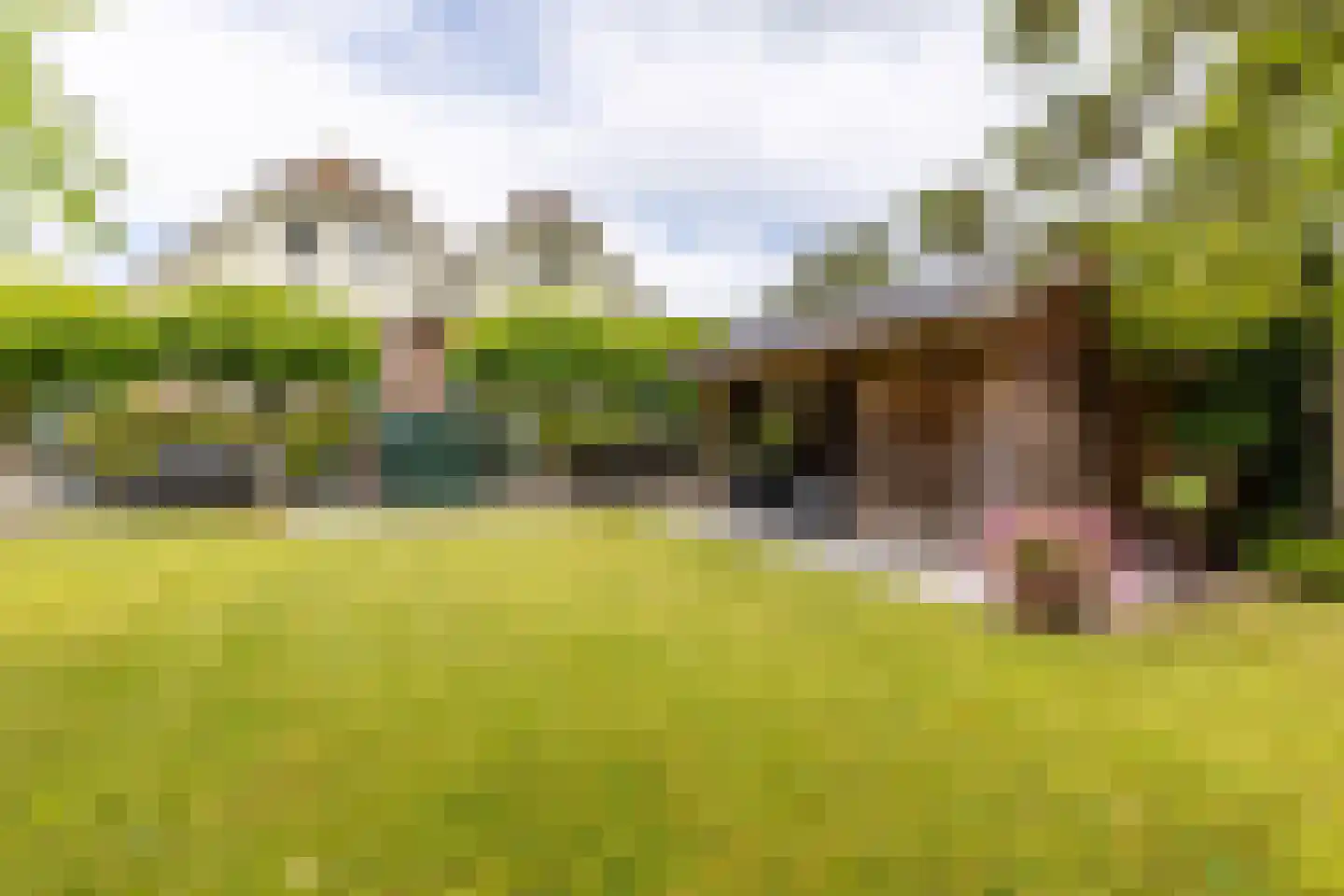 Bergse Linker Rottekade 222 Rotterdam thumbnail 28