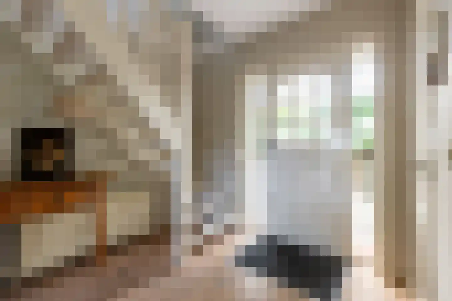 Bergse Linker Rottekade 222 Rotterdam thumbnail 30