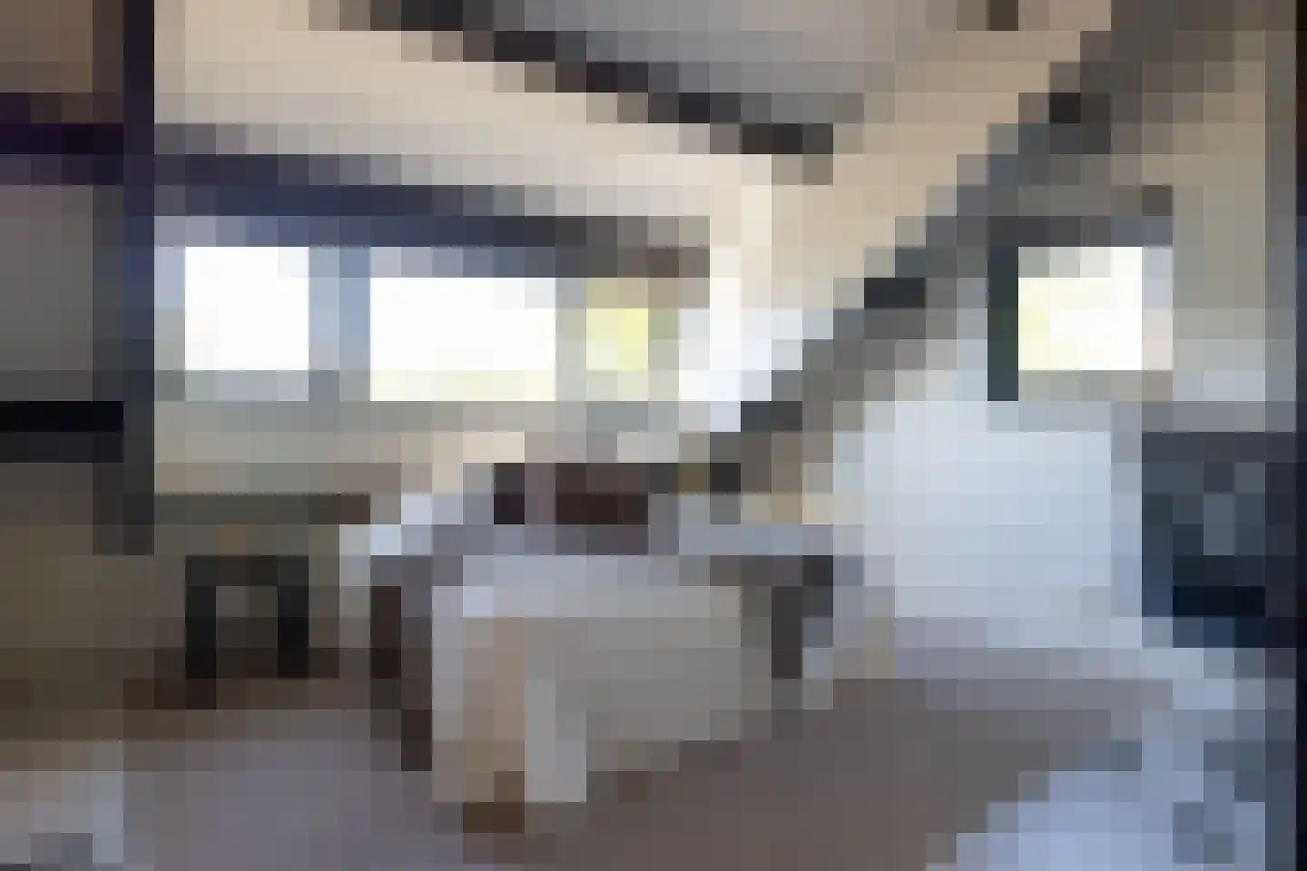 Bergse Linker Rottekade 229 Rotterdam thumbnail 46