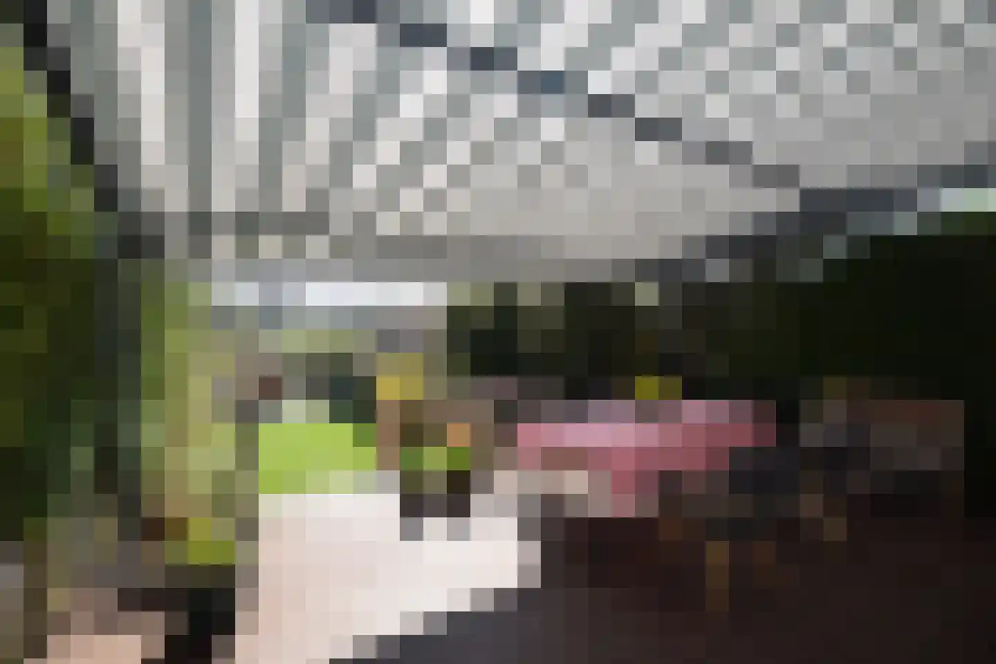 Bergse Linker Rottekade 30 Rotterdam thumbnail 14