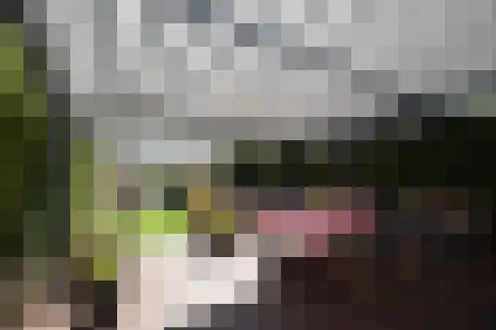Bergse Linker Rottekade 30 Rotterdam thumbnail 14
