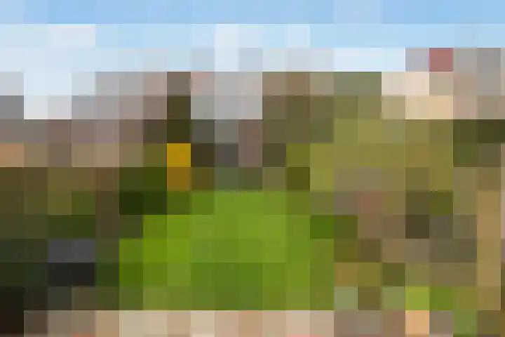Bergse Linker Rottekade 30 Rotterdam thumbnail 18