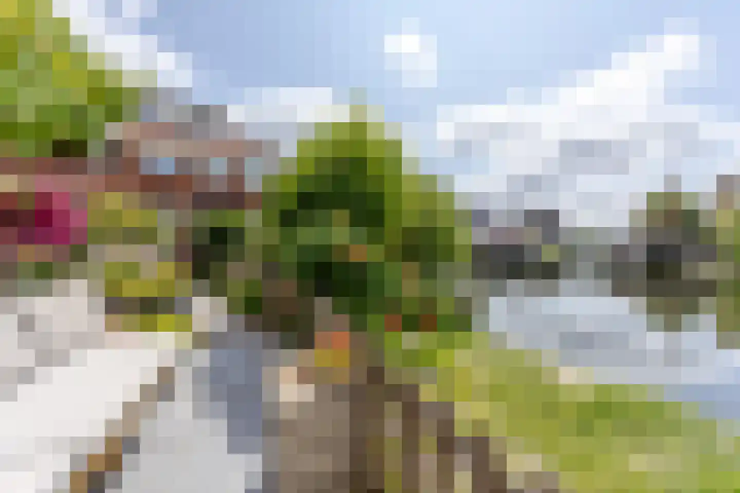 Bergse Linker Rottekade 303 Rotterdam thumbnail 7