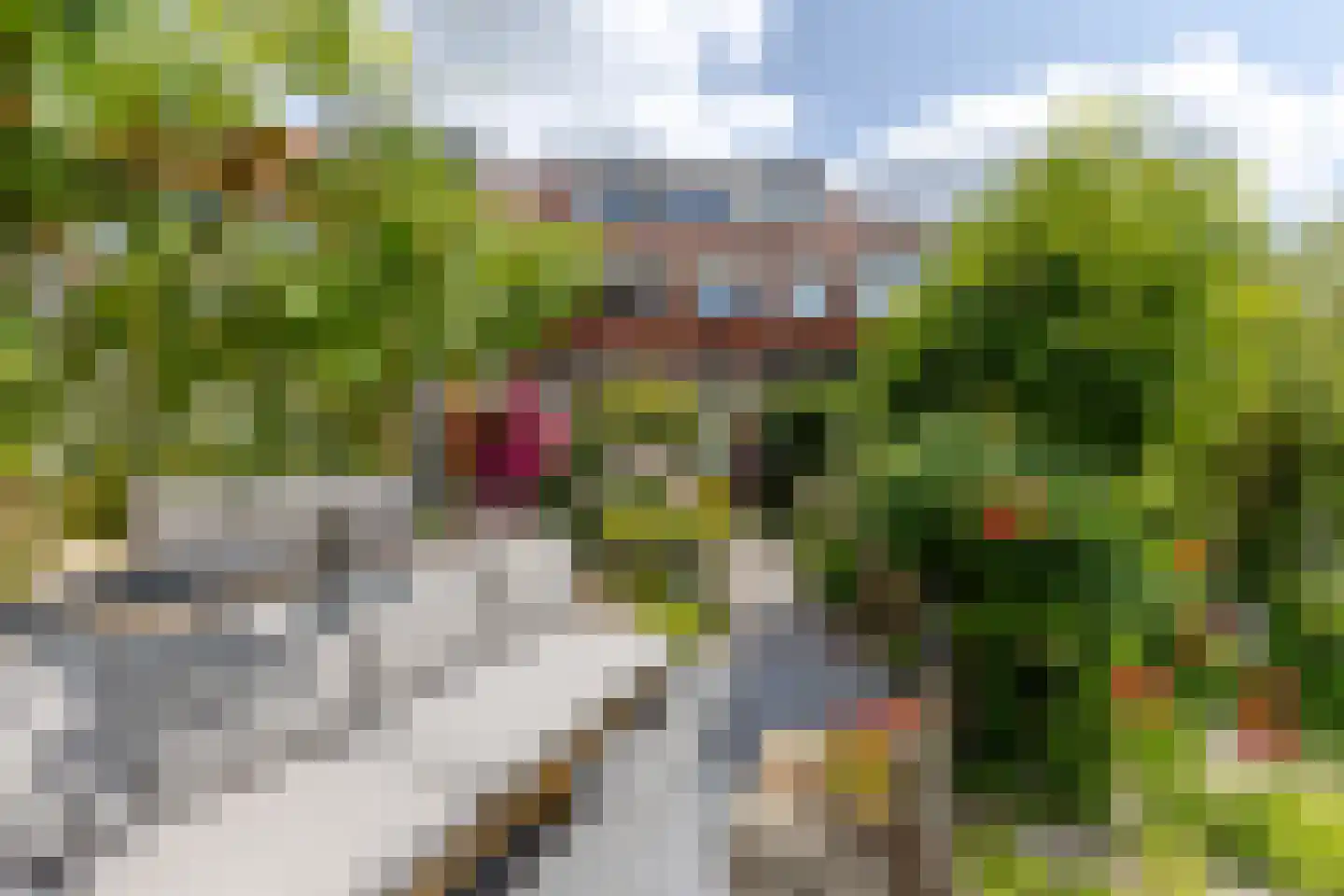 Bergse Linker Rottekade 303 Rotterdam thumbnail 8