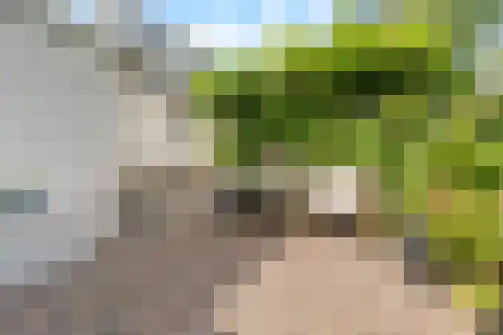 Bergse Linker Rottekade 335 Rotterdam thumbnail 38