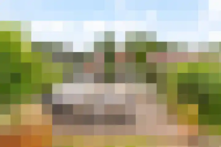 Bergse Linker Rottekade 335 Rotterdam thumbnail 4