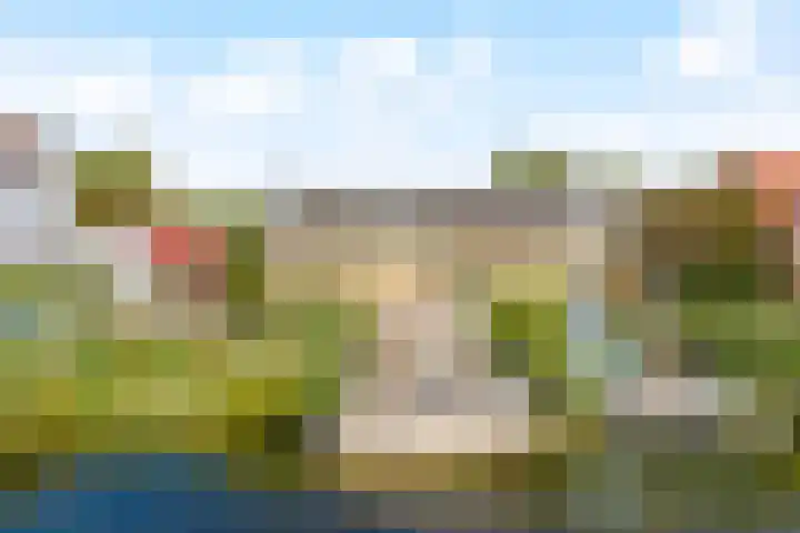 Bergse Linker Rottekade 335 Rotterdam thumbnail 44