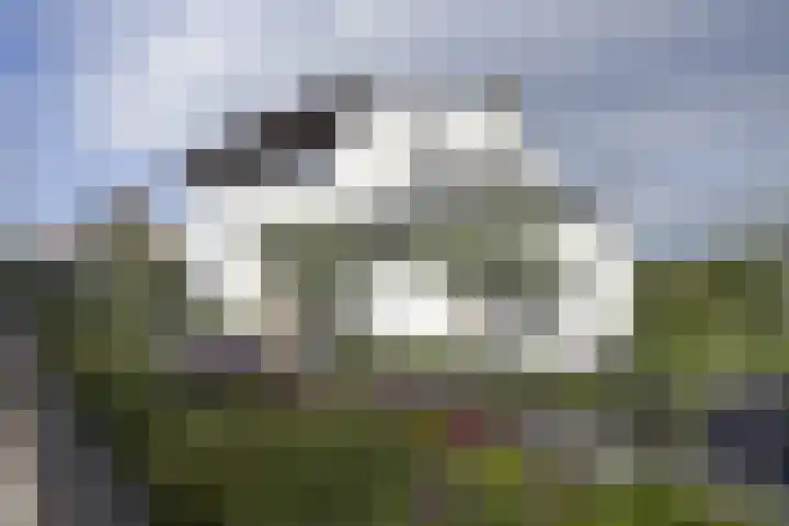 Bergse Linker Rottekade 345 Rotterdam thumbnail 4