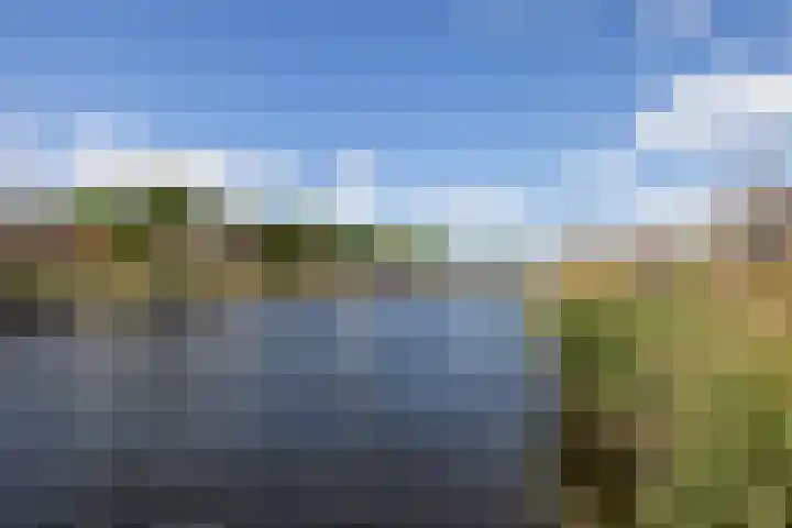 Bergse Linker Rottekade 345 Rotterdam thumbnail 5