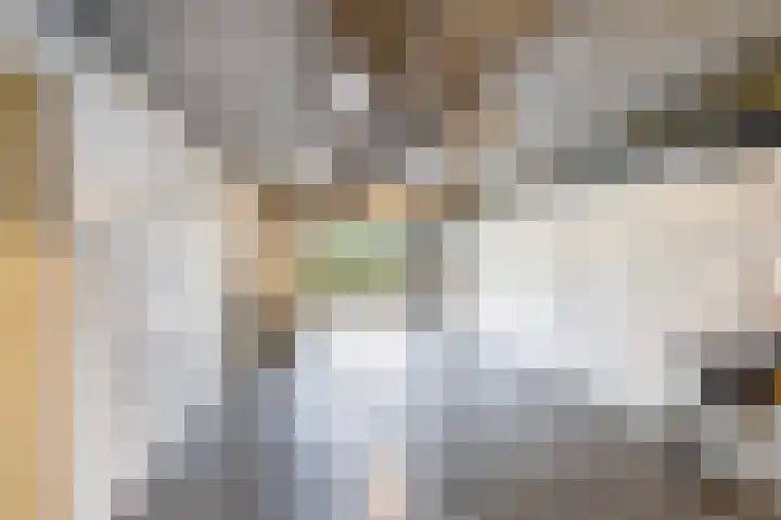 Bergse Linker Rottekade 37 A Rotterdam thumbnail 35