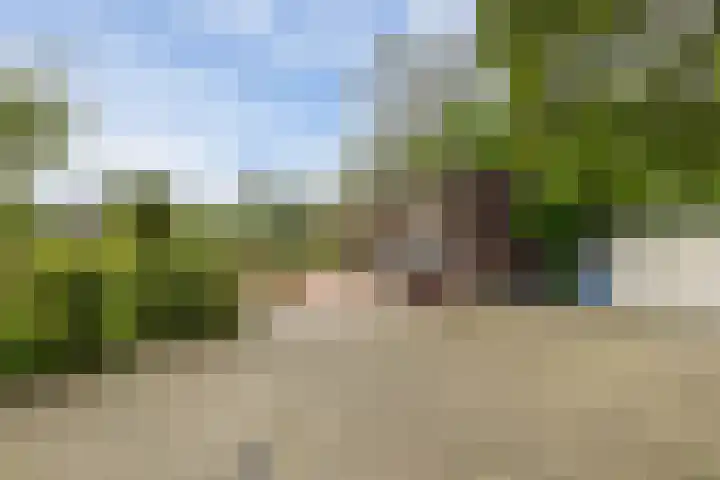 Bergse Linker Rottekade 37 A Rotterdam thumbnail 37