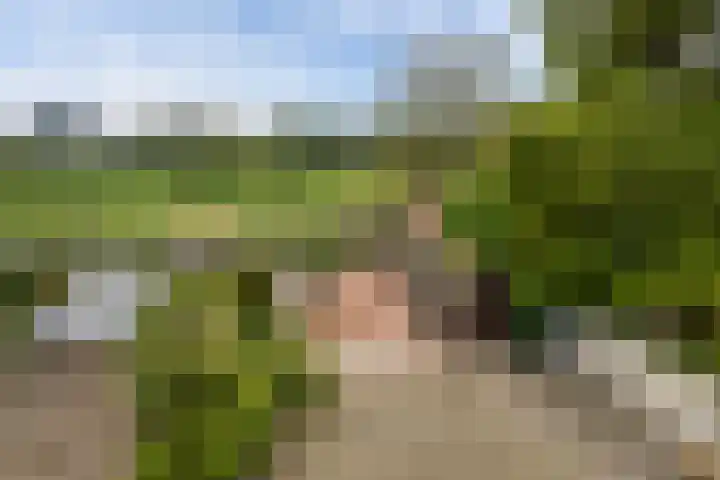 Bergse Linker Rottekade 37 A Rotterdam thumbnail 4