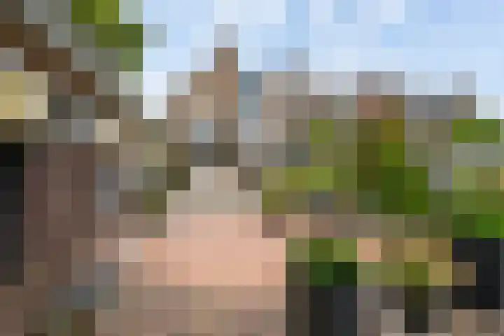Bergse Linker Rottekade 37 A Rotterdam thumbnail 43