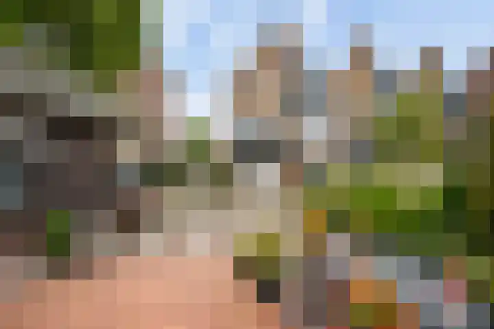 Bergse Linker Rottekade 37 A Rotterdam thumbnail 5