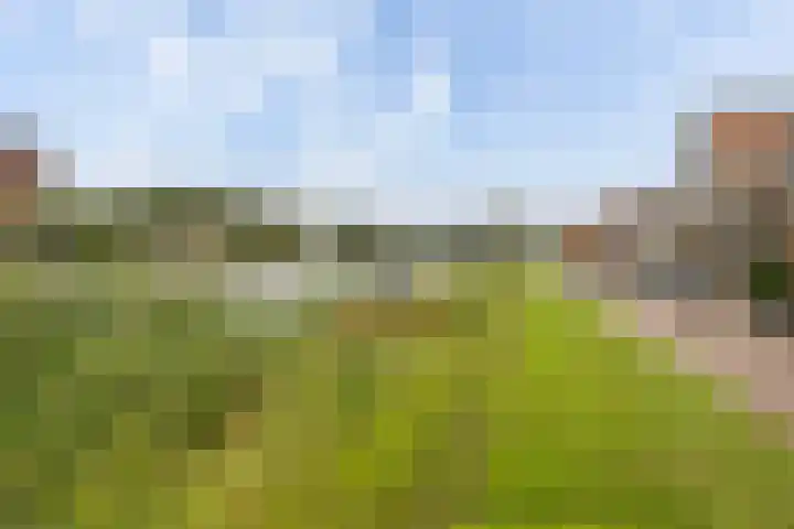 Bergse Linker Rottekade 37 A Rotterdam thumbnail 6