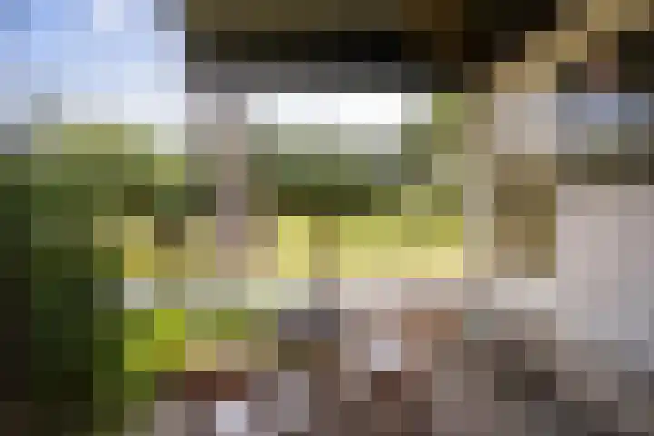 Bergse Linker Rottekade 43 Rotterdam thumbnail 38