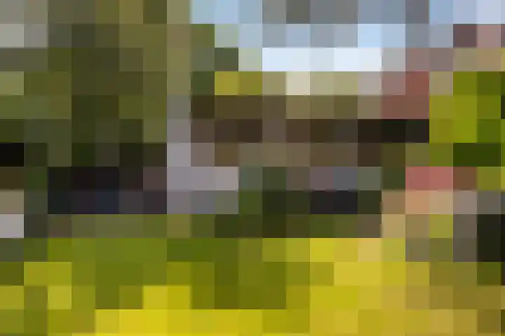 Bergse Linker Rottekade 43 Rotterdam thumbnail 39