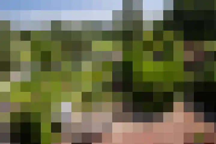 Bergse Linker Rottekade 43 Rotterdam thumbnail 40