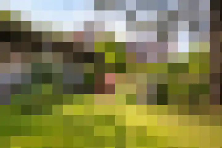 Bergse Linker Rottekade 43 Rotterdam thumbnail 42