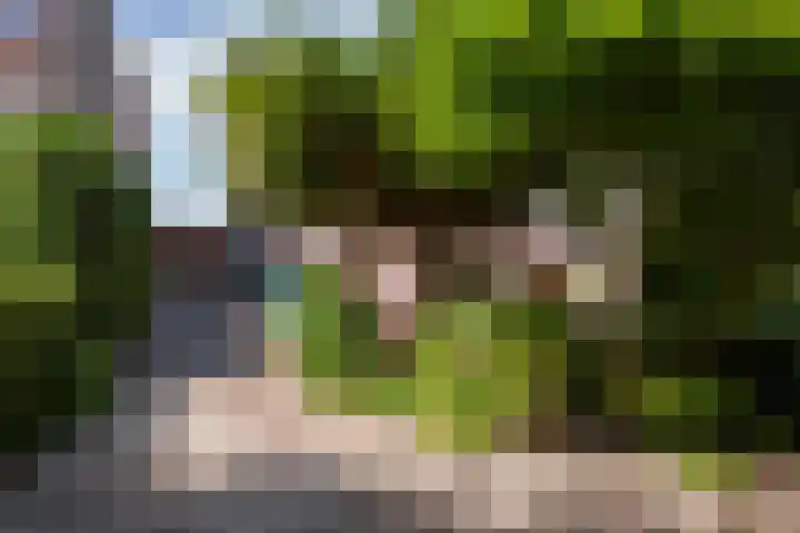 Bergse Linker Rottekade 43 Rotterdam thumbnail 43