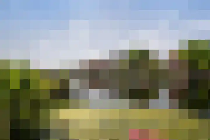 Bergse Linker Rottekade 43 Rotterdam thumbnail 47