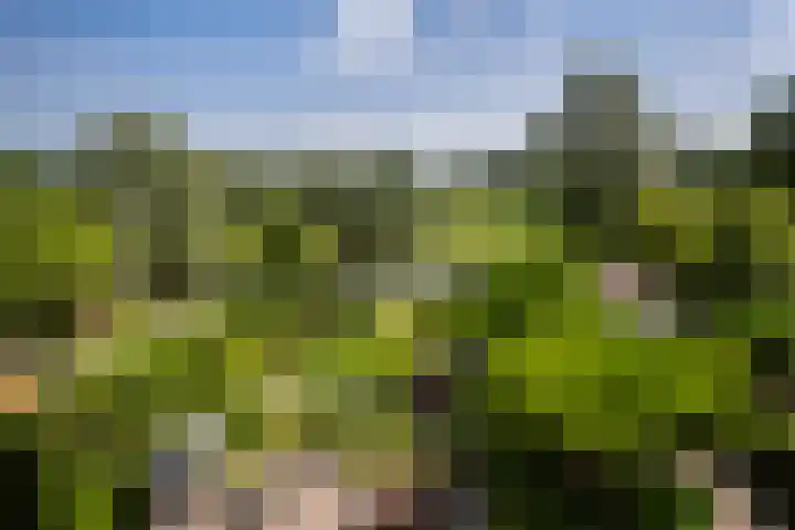 Bergse Linker Rottekade 43 Rotterdam thumbnail 5