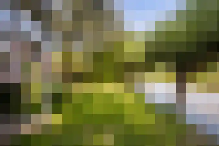 Bergse Linker Rottekade 43 Rotterdam thumbnail 6