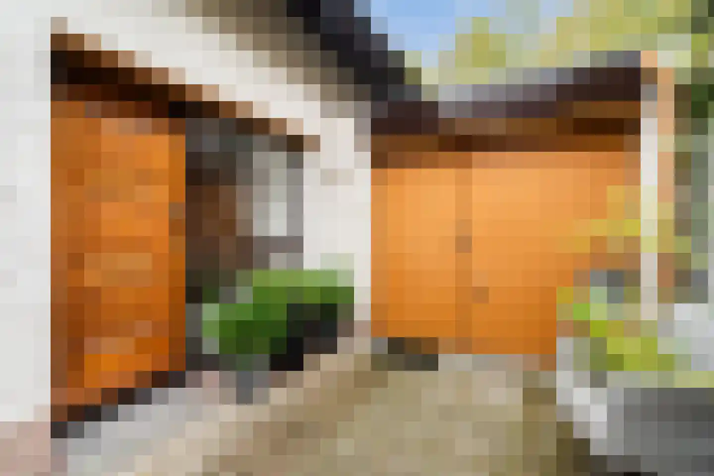 Bergse Maas 22 Pijnacker thumbnail 10