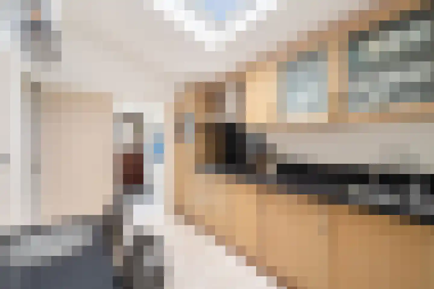 Bergse Maas 22 Pijnacker thumbnail 21