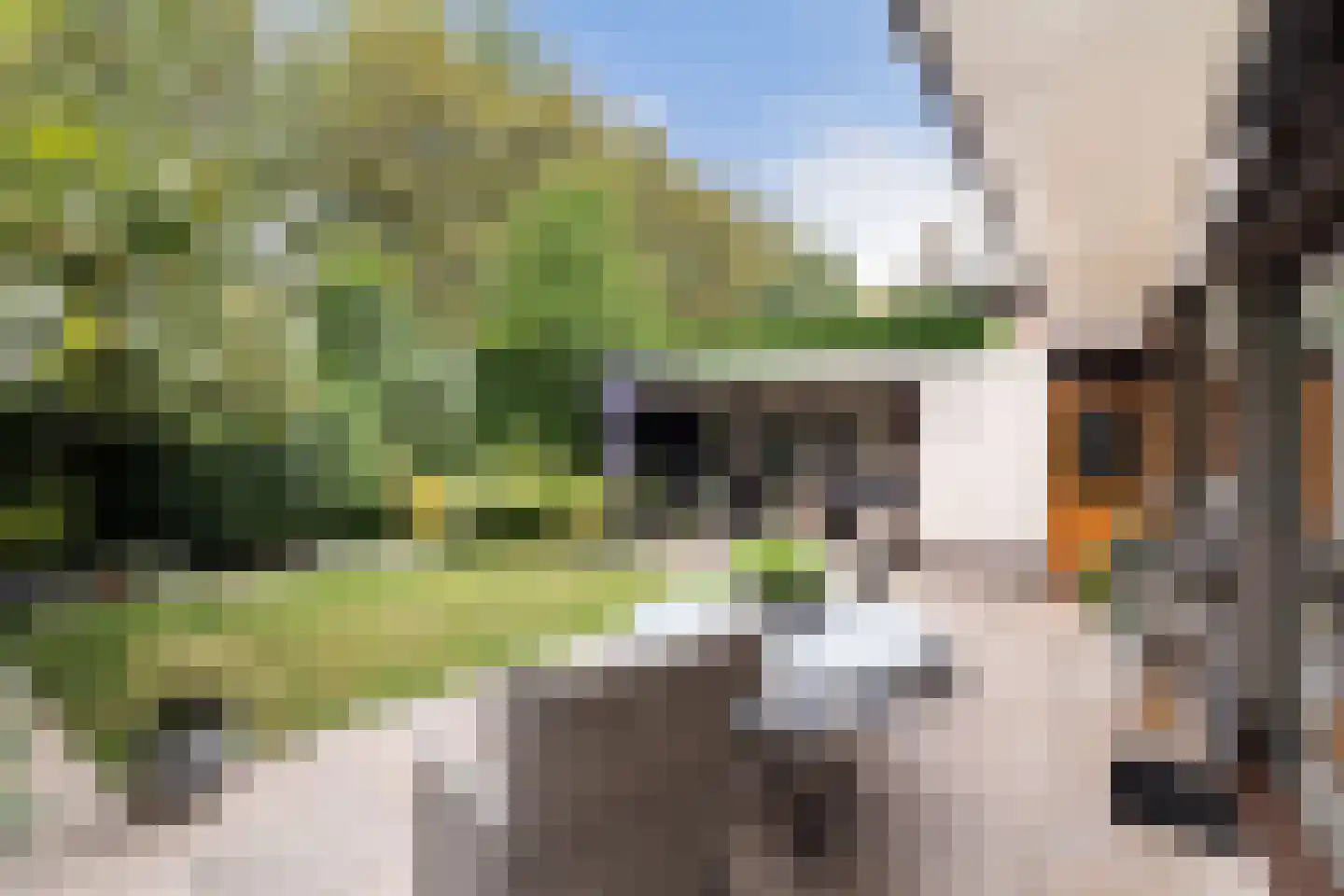 Bergse Maas 22 Pijnacker thumbnail 36