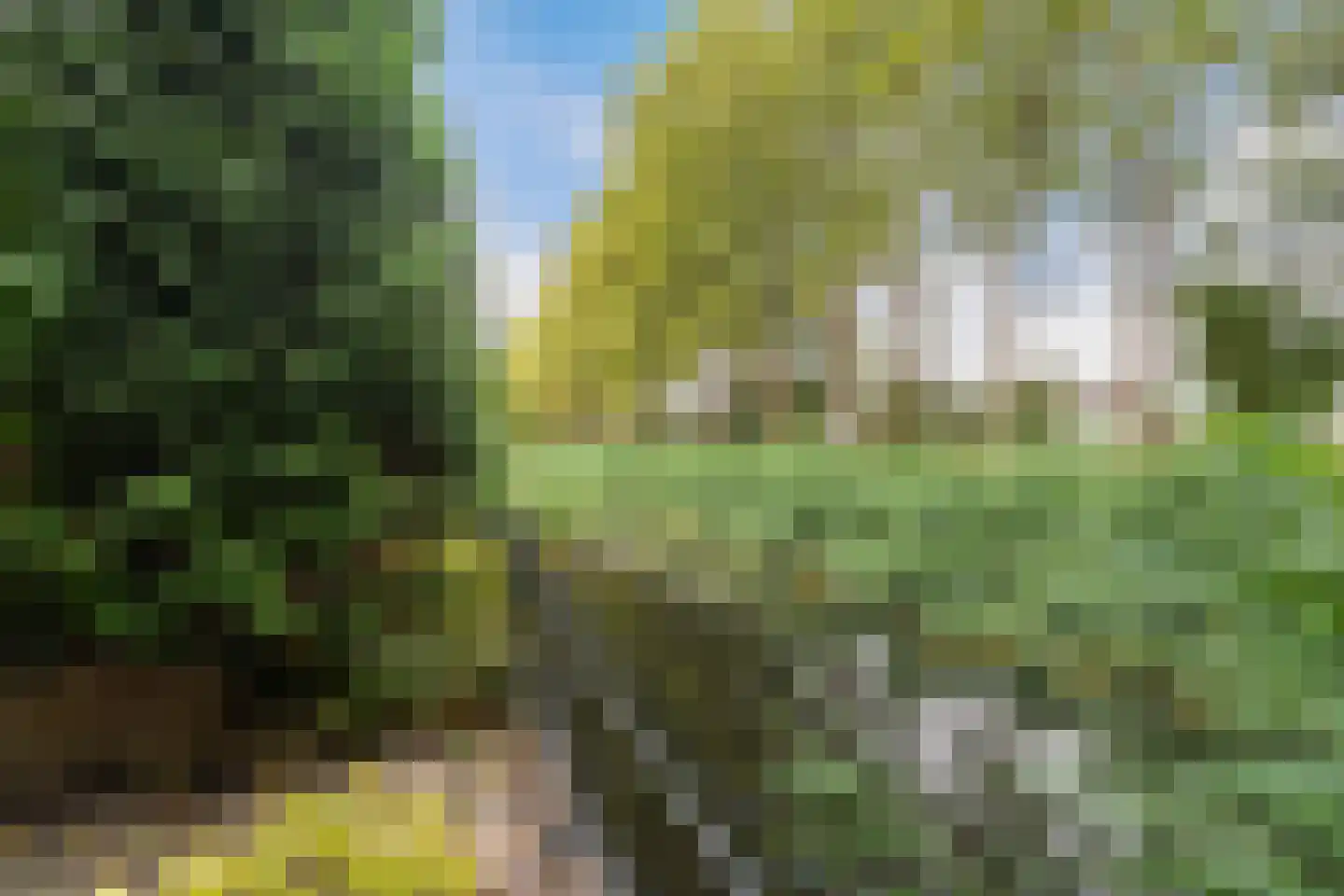 Bergse Maas 22 Pijnacker thumbnail 37