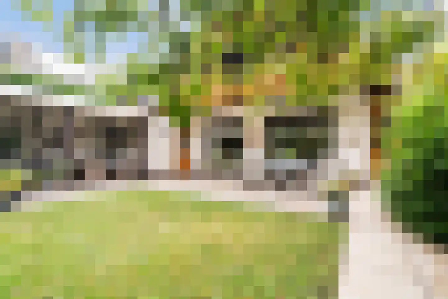 Bergse Maas 22 Pijnacker thumbnail 40