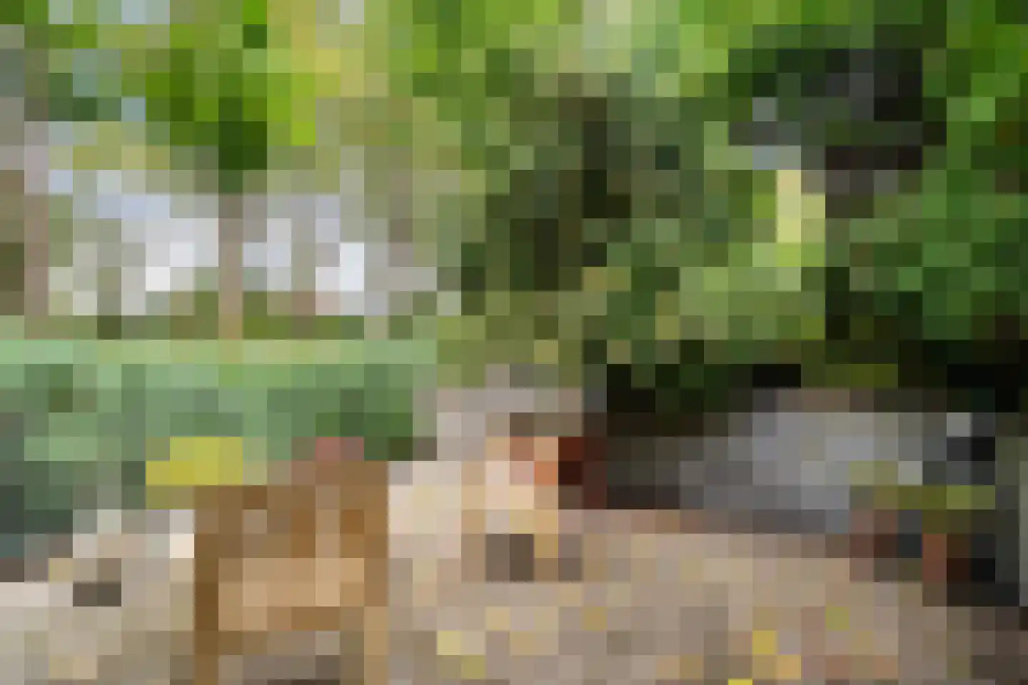 Bergse Maas 22 Pijnacker thumbnail 41