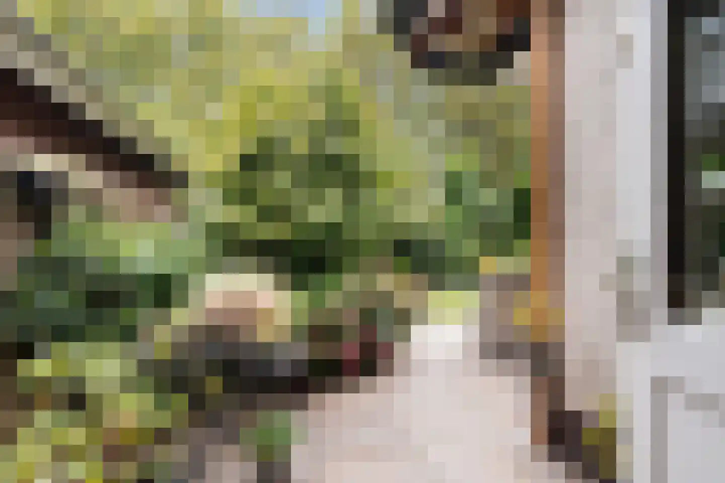 Bergse Maas 22 Pijnacker thumbnail 43