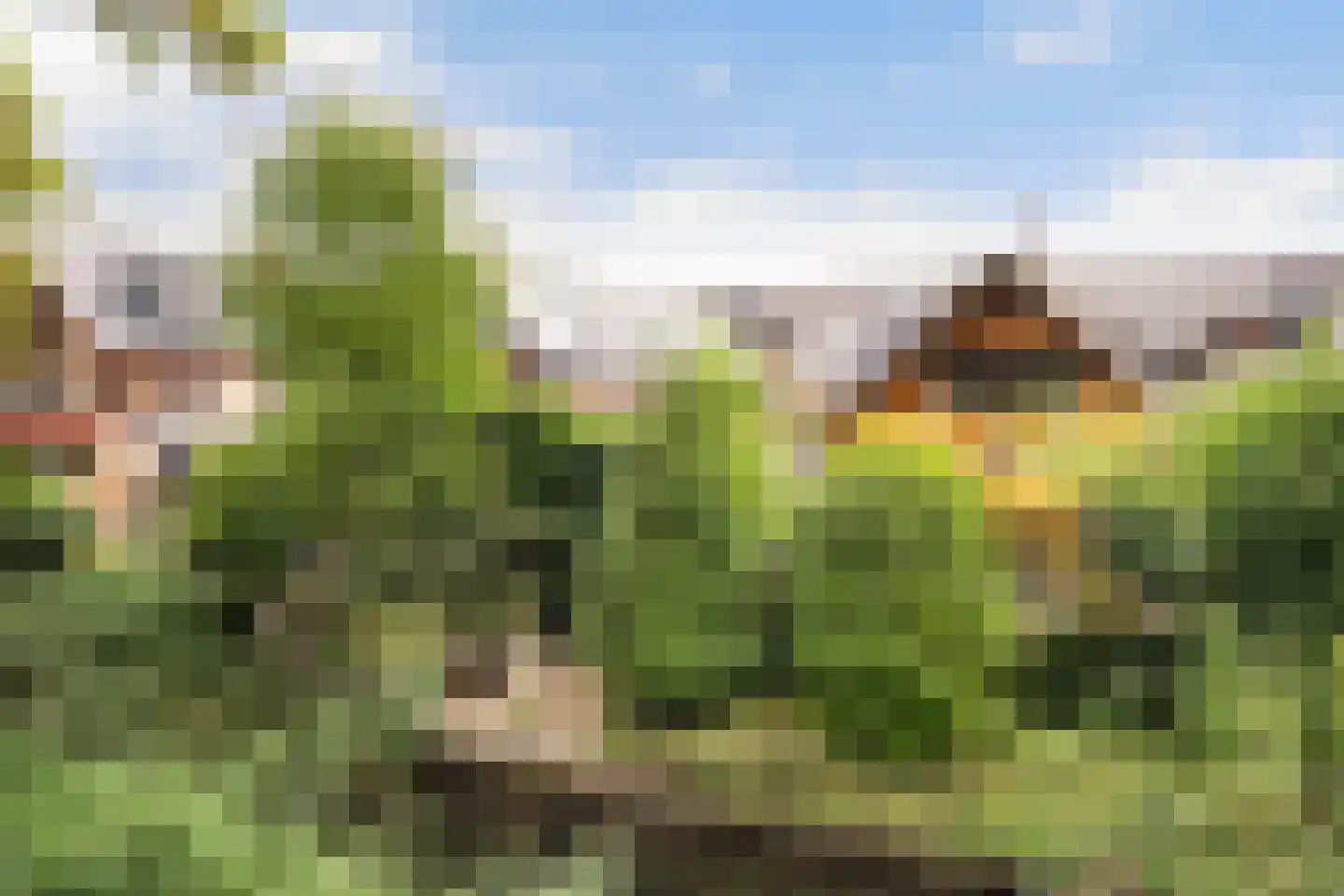 Bergse Maas 22 Pijnacker thumbnail 44