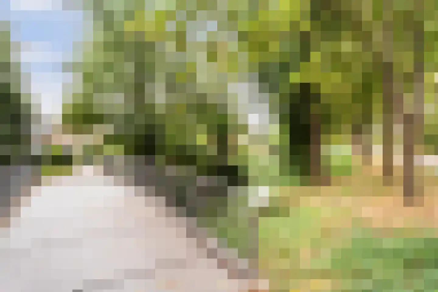 Bergse Maas 22 Pijnacker thumbnail 47