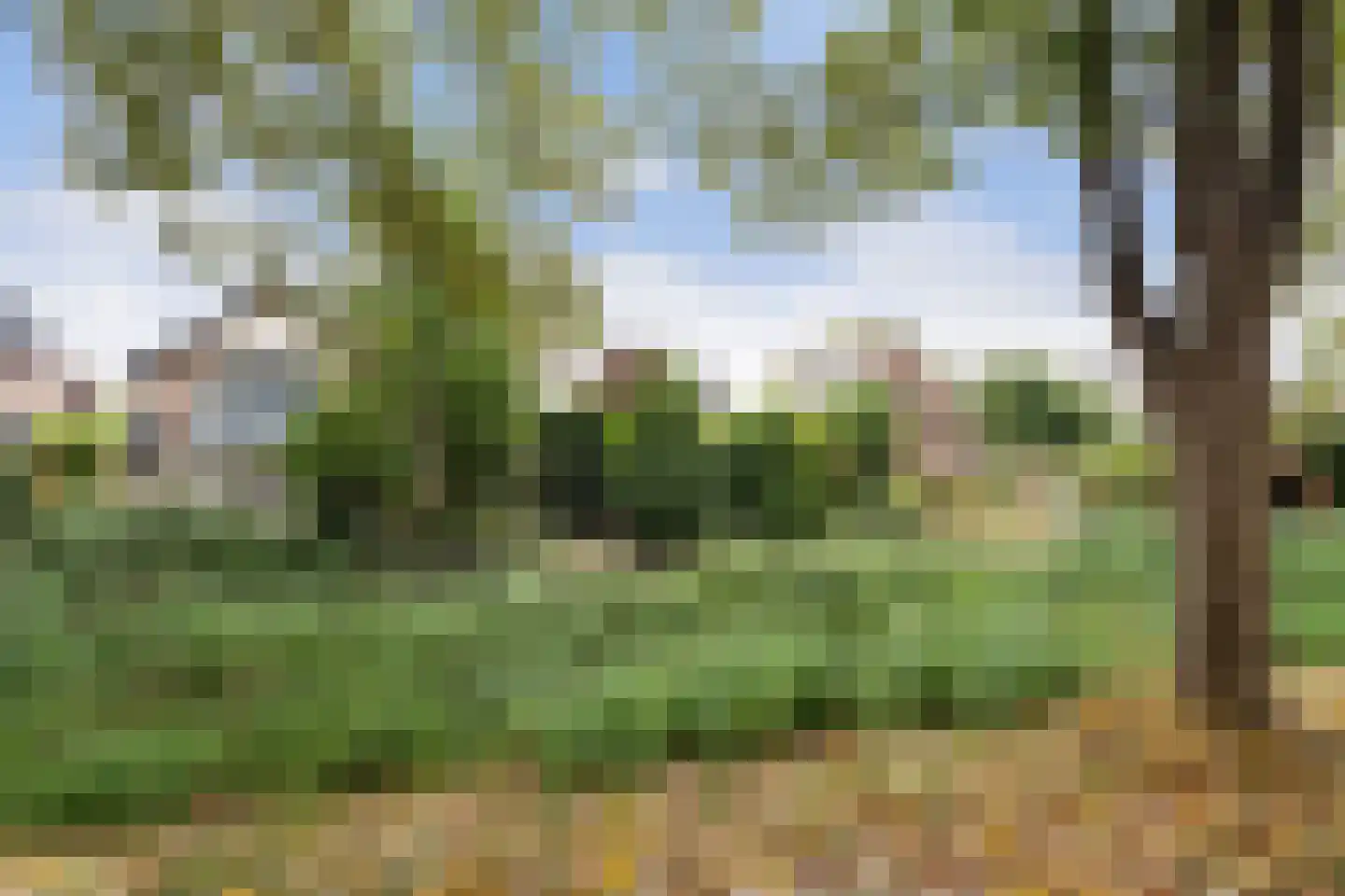 Bergse Maas 22 Pijnacker thumbnail 7